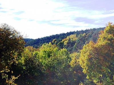 Automne_allenc (20)